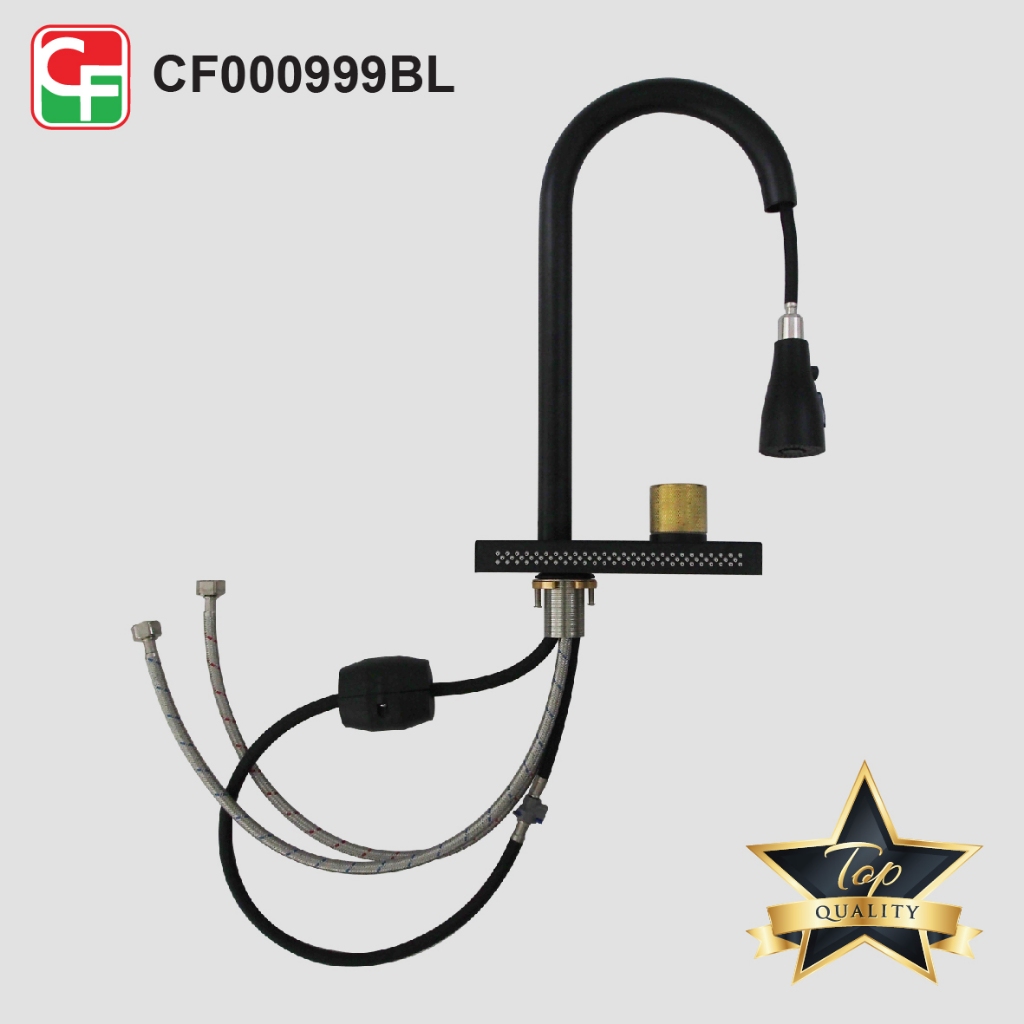 CF000999 (5)