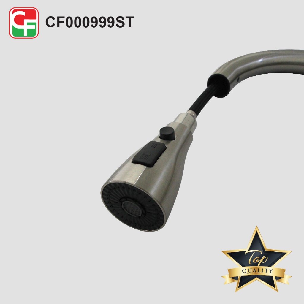 CF000999 (6)