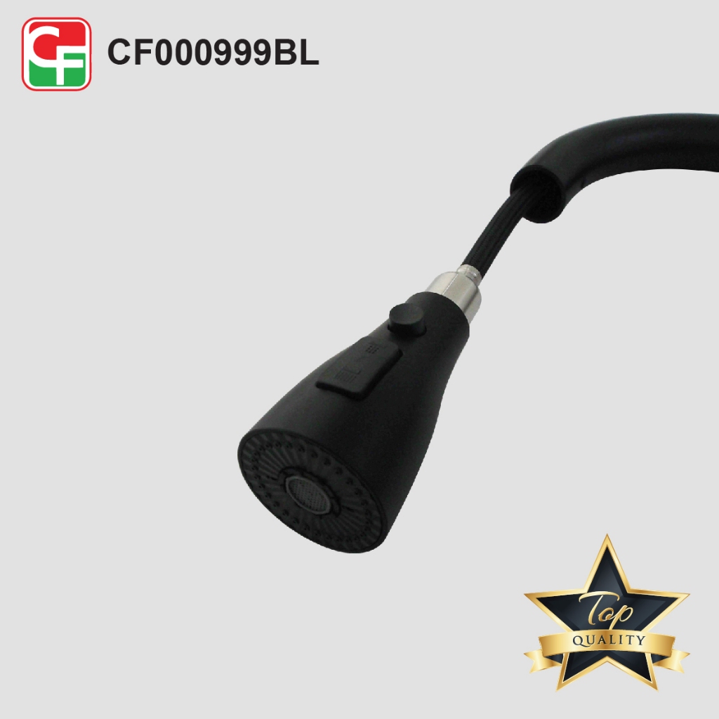 CF000999 (7)