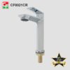 CF0021CR (3)