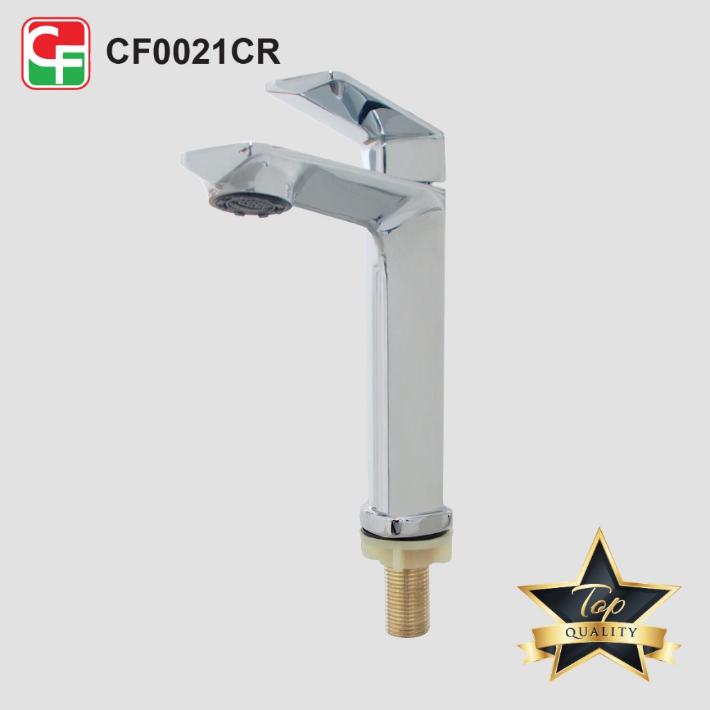 CF0021CR (3)