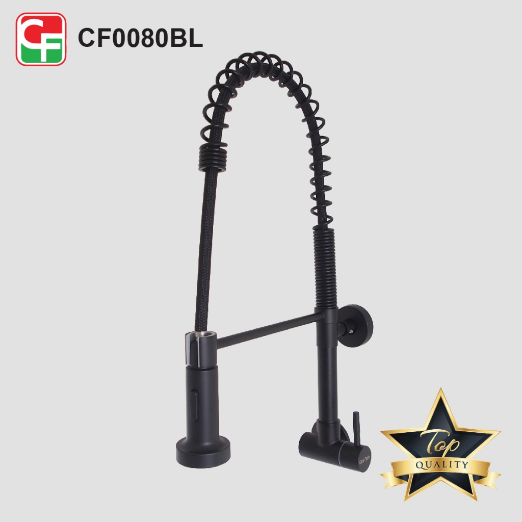 CF0080 (5)