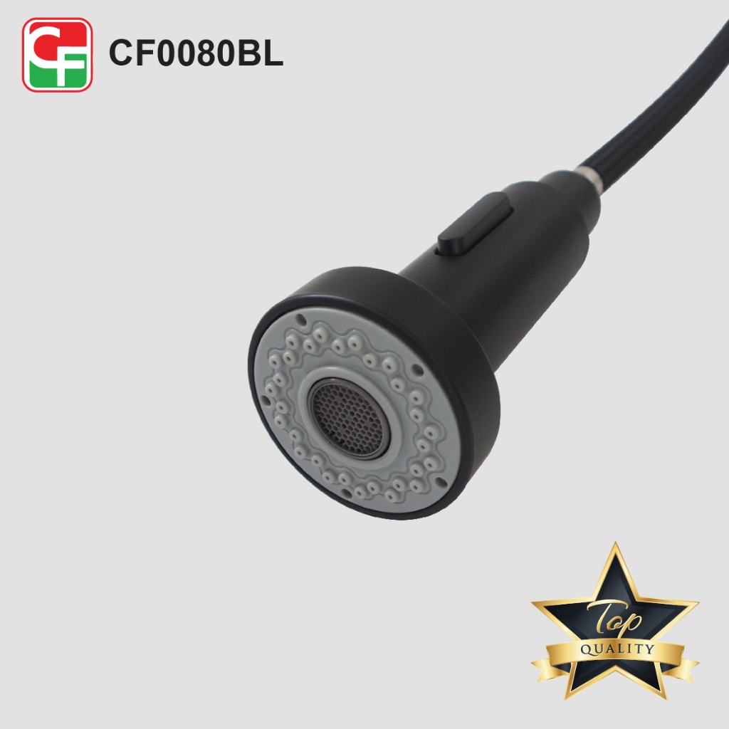 CF0080 (9)