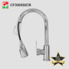 CF300555 (2)