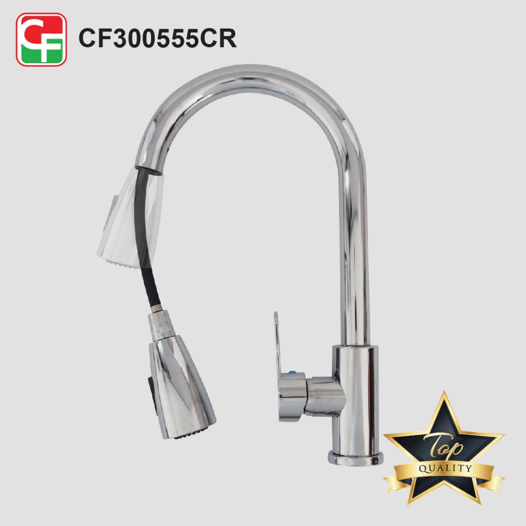CF300555 (2)
