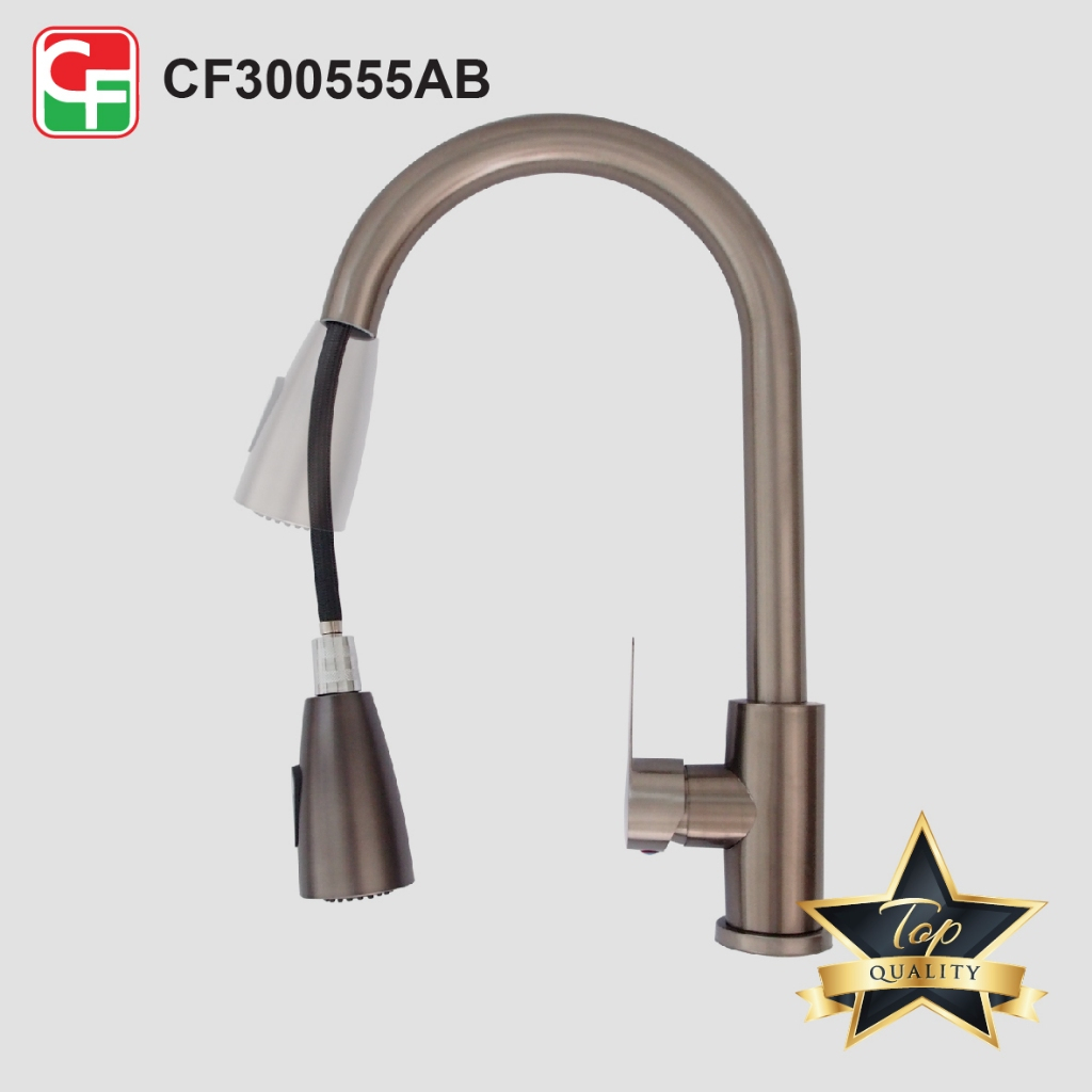 CF300555 (3)