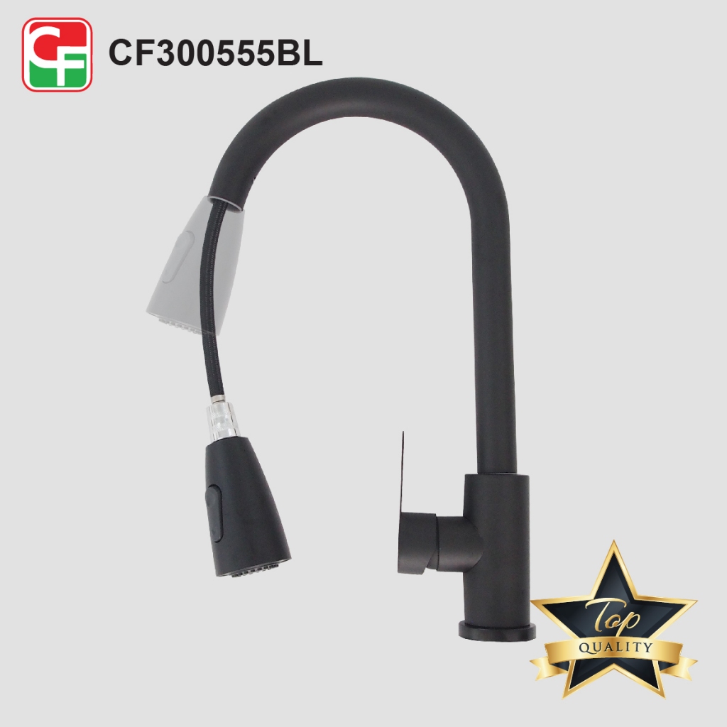 CF300555 (4)