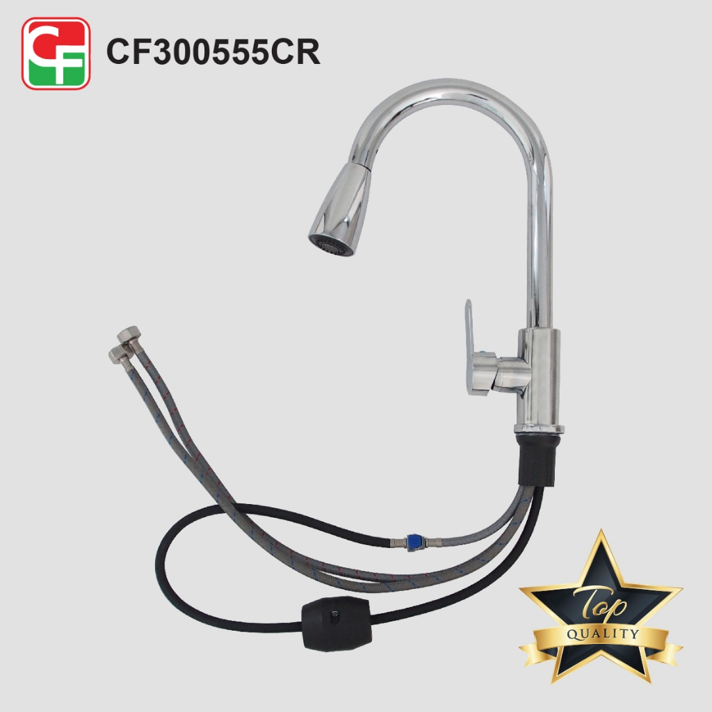CF300555 (6)