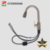 CF300555 (7)