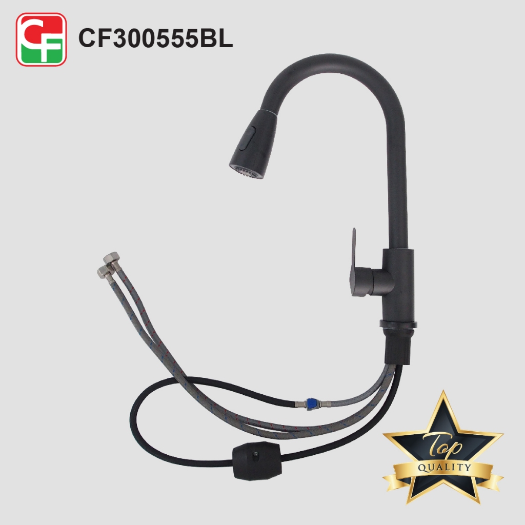 CF300555 (8)