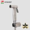 CF301Z (2)