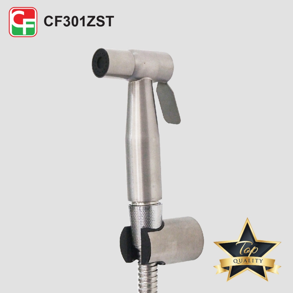CF301Z (2)