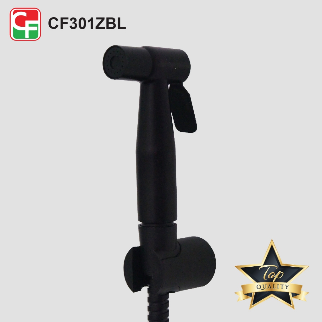 CF301Z (3)