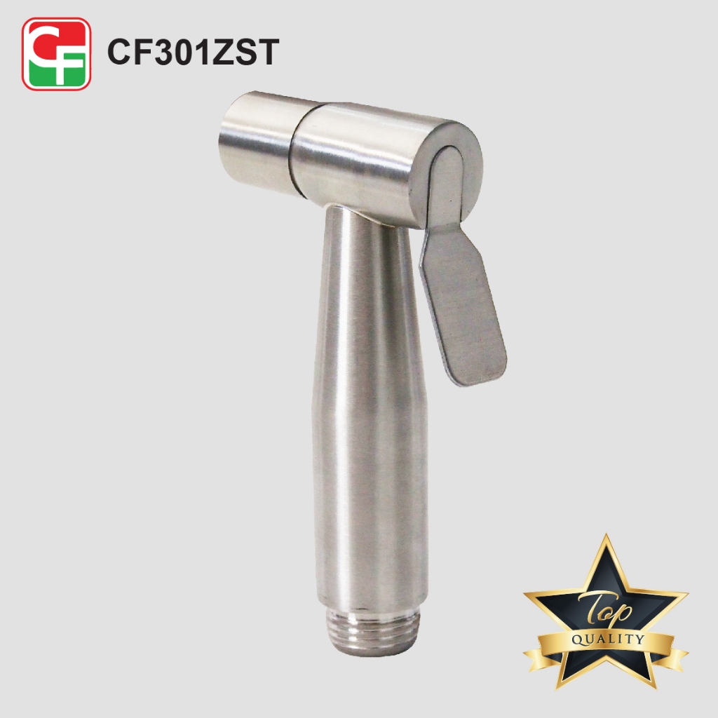 CF301Z (4)
