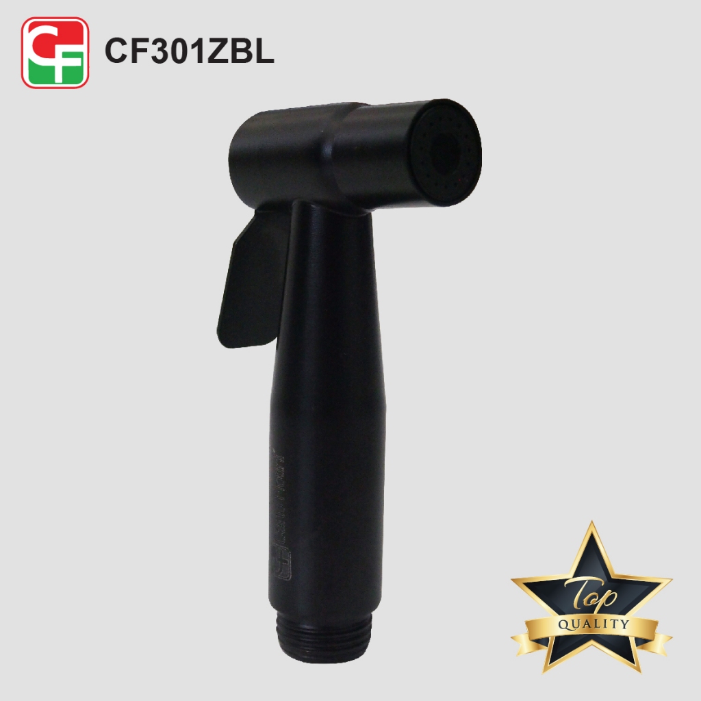 CF301Z (7)