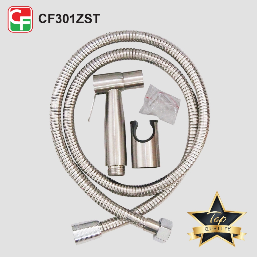 CF301Z (8)