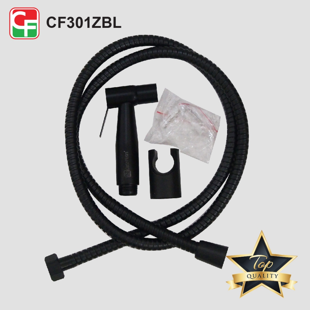 CF301Z (9)