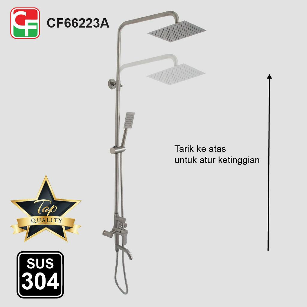 CF66223A (3)