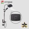 CF77400AB (4)