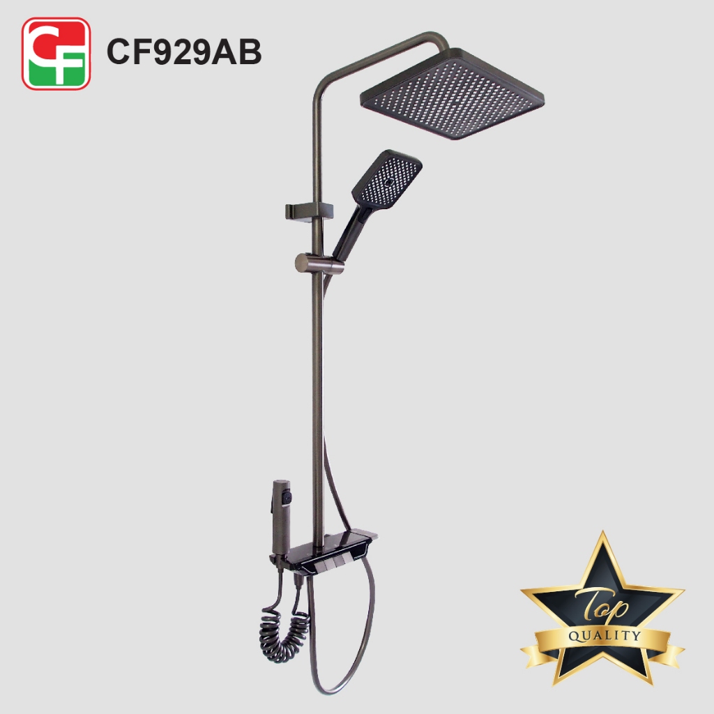 CF929 (2)