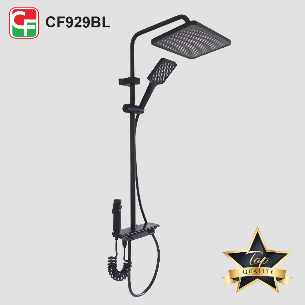 CF929 (3)