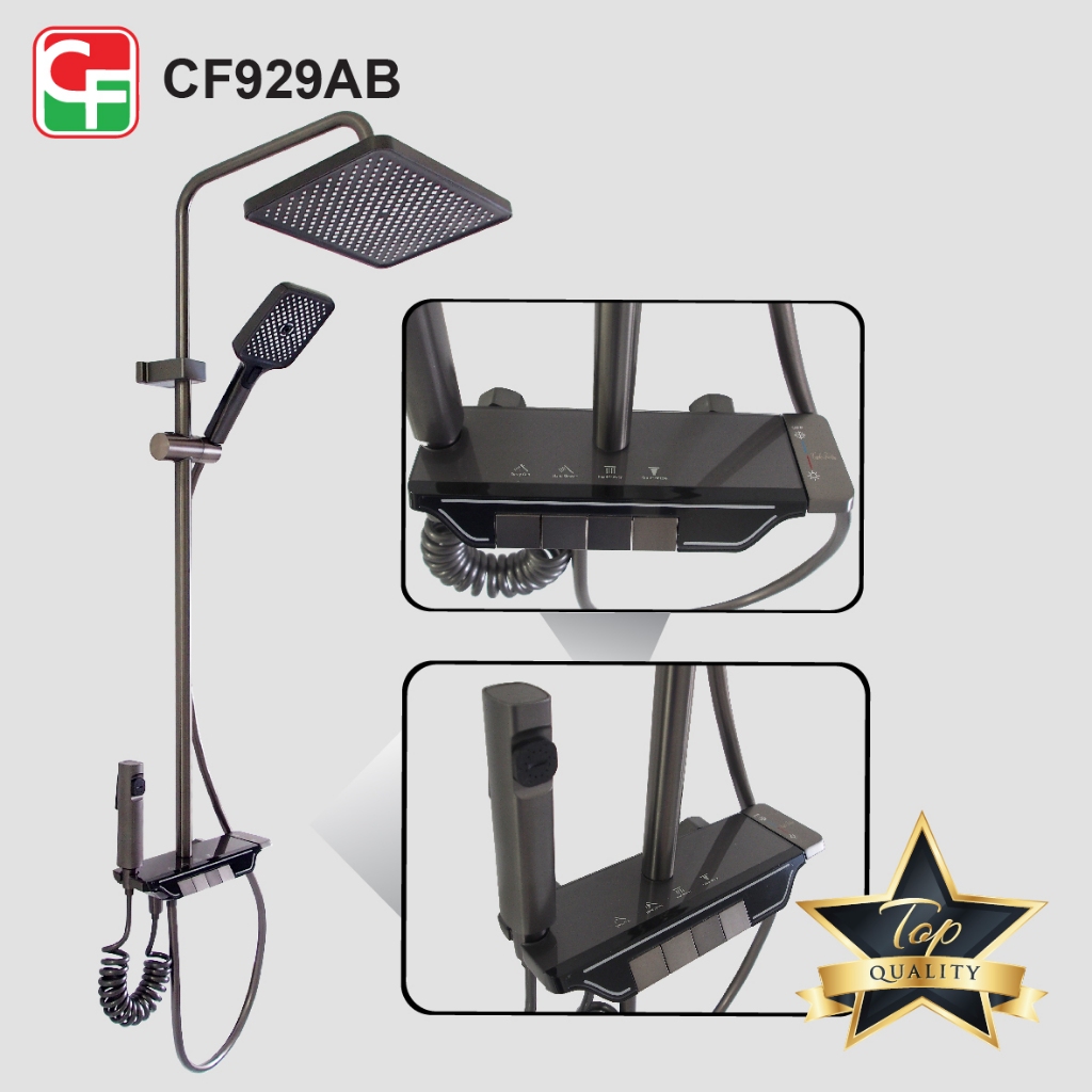 CF929 (4)
