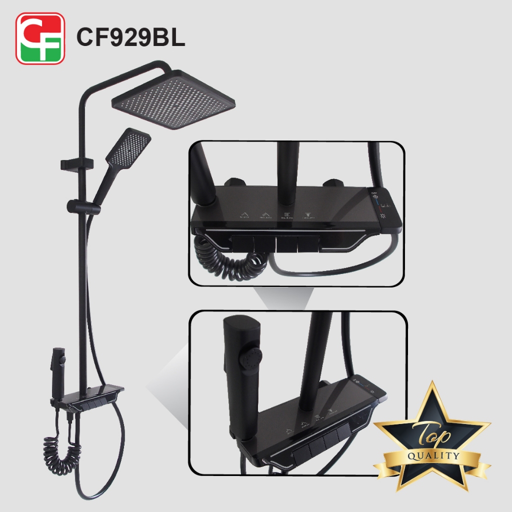 CF929 (5)