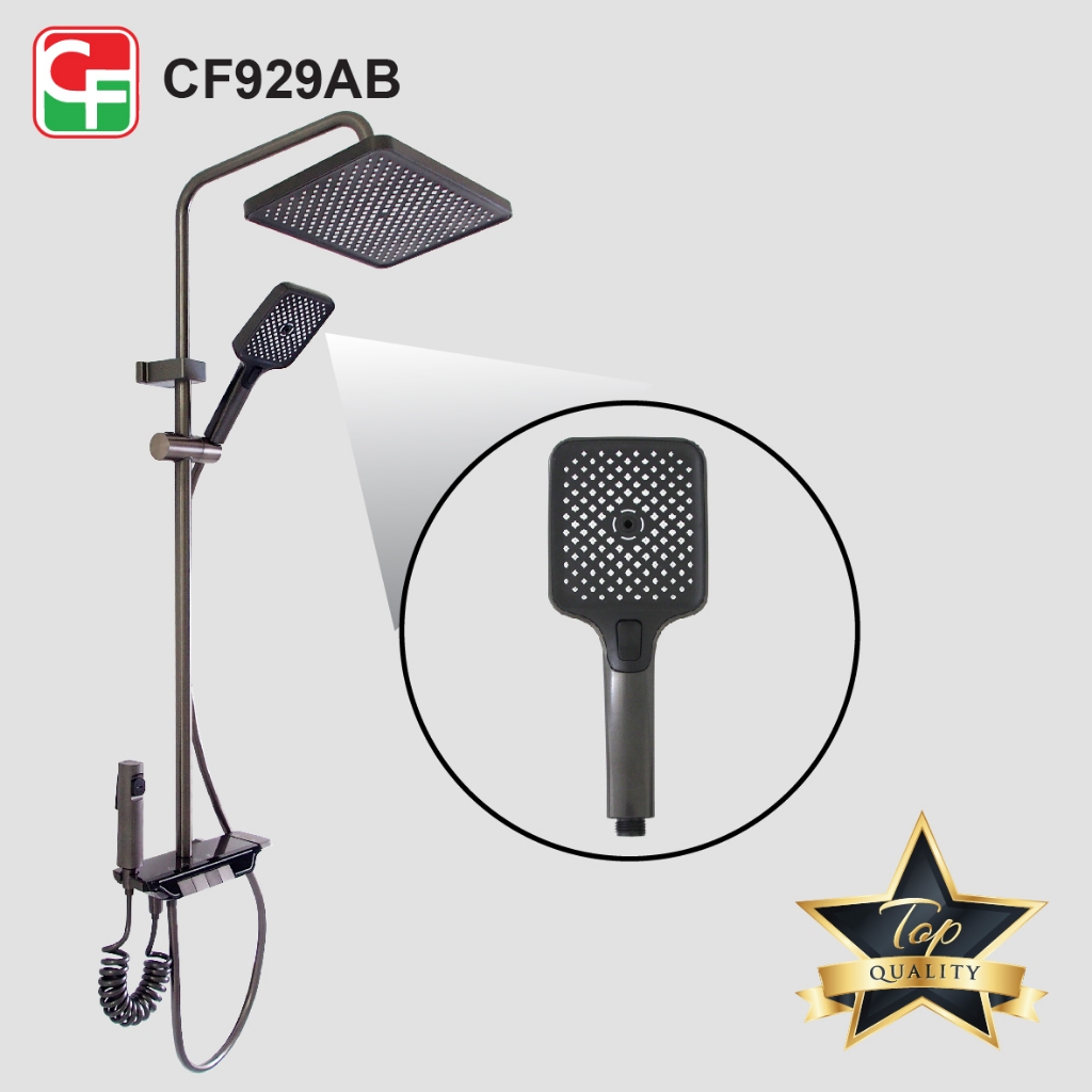 CF929 (6)
