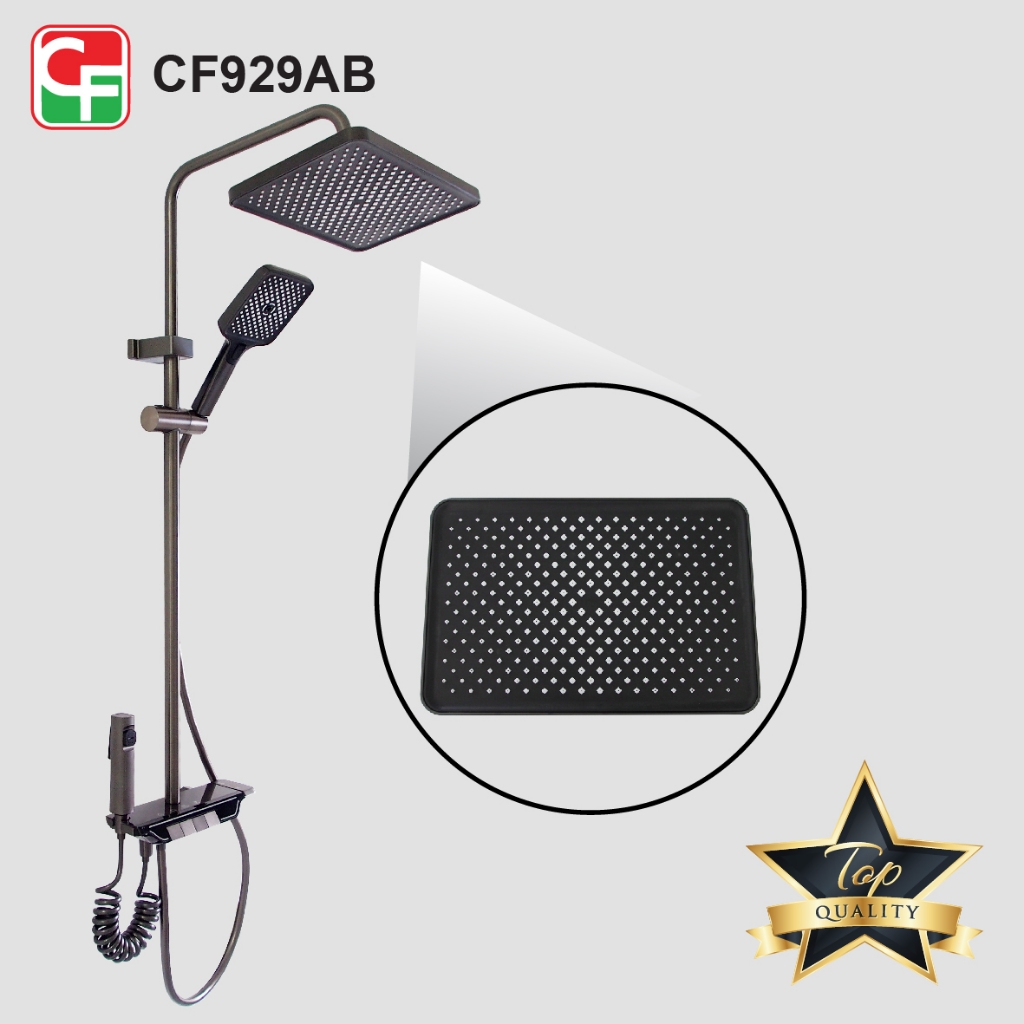 CF929 (8)