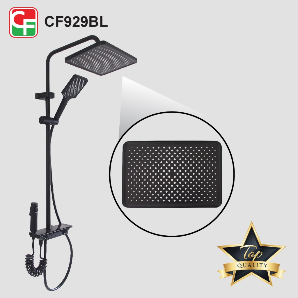 CF929 (9)