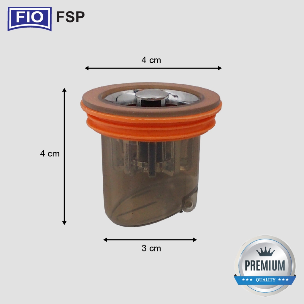 FSP (2)