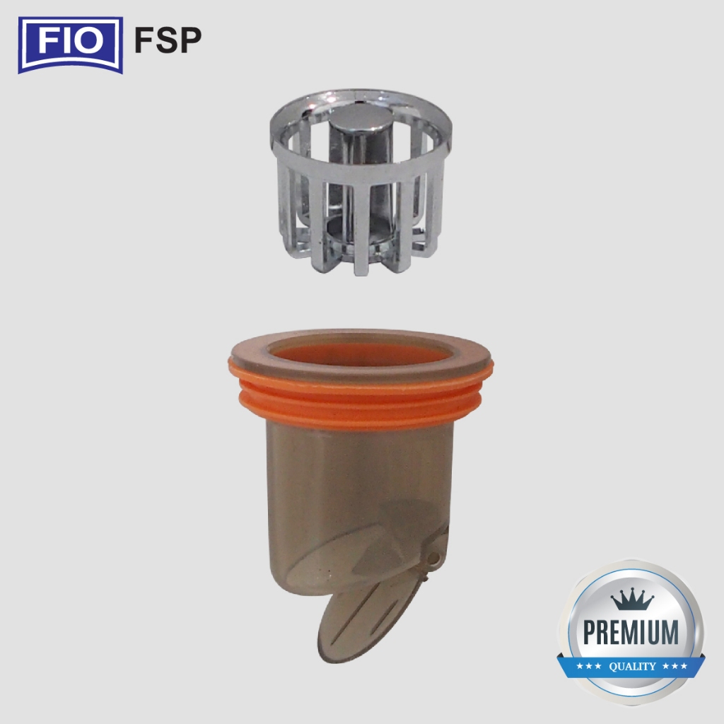 FSP (5)
