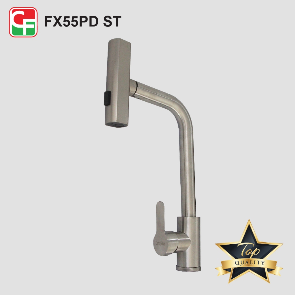 FX55PDST (4)