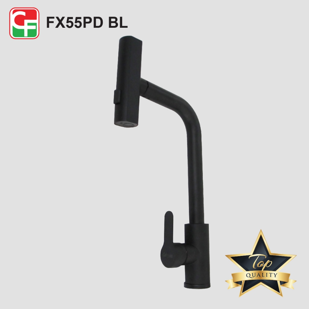 FX55PDST (5)