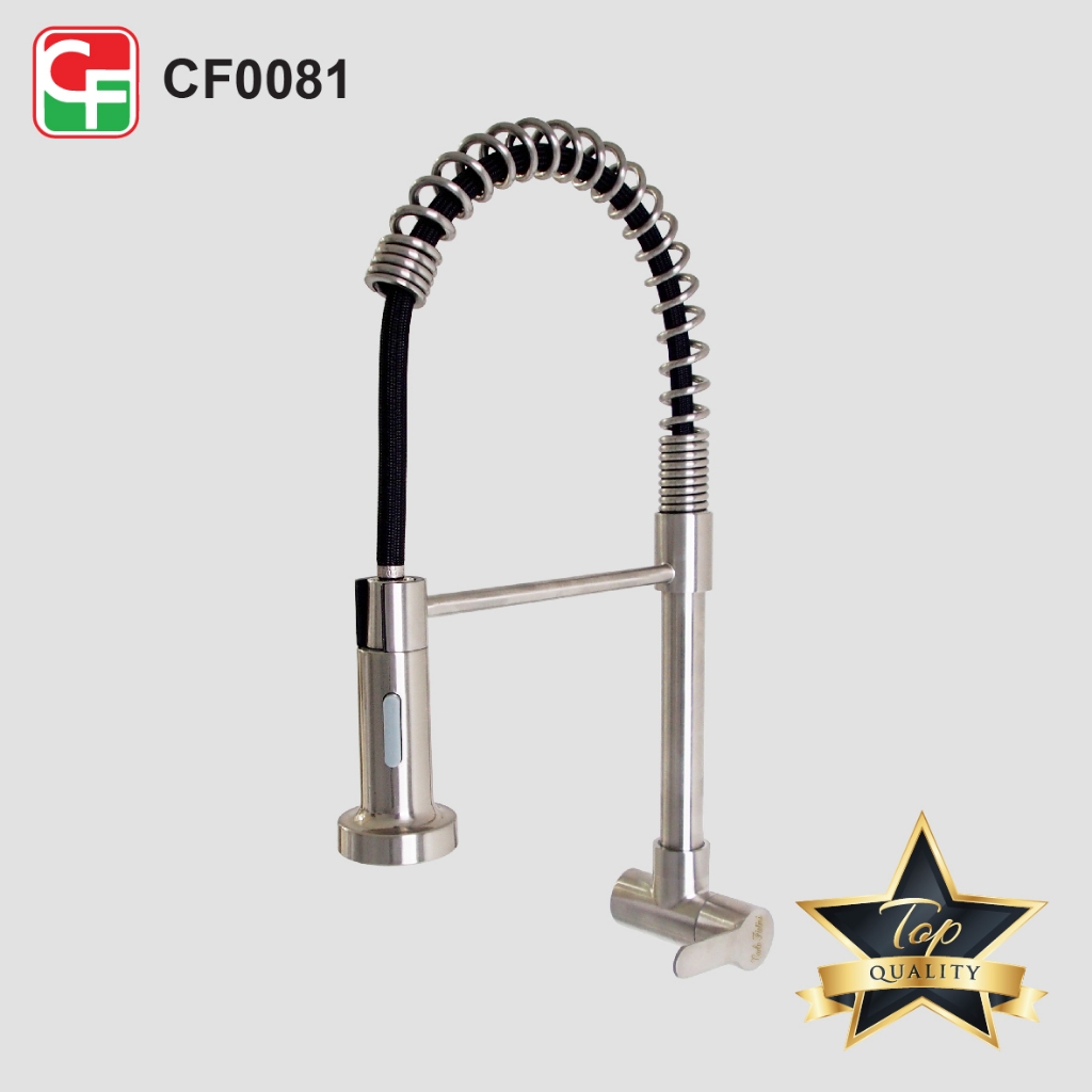 CF0081 (2)