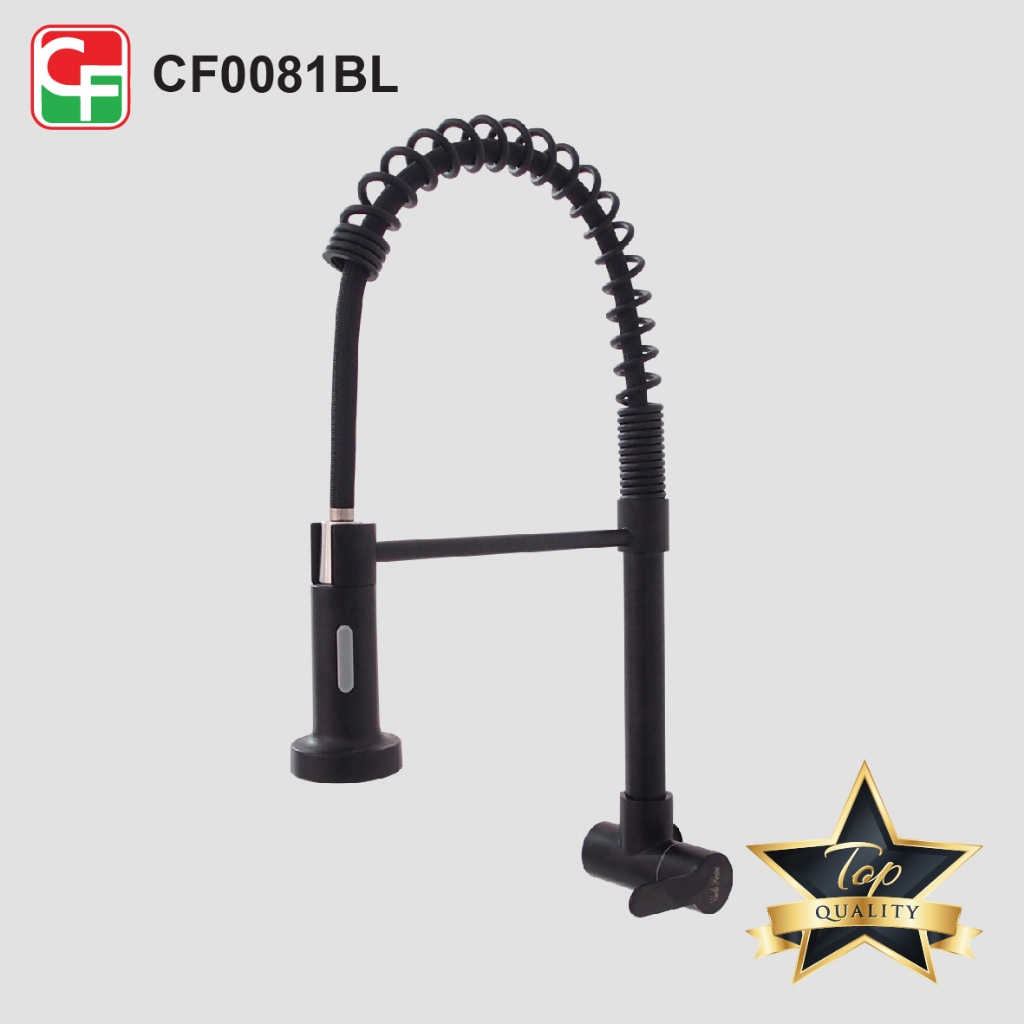CF0081 (3)