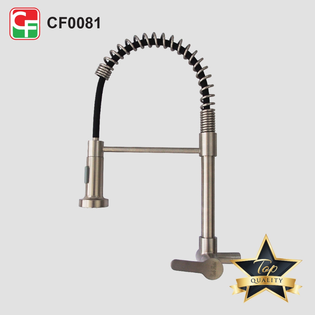 CF0081 (4)