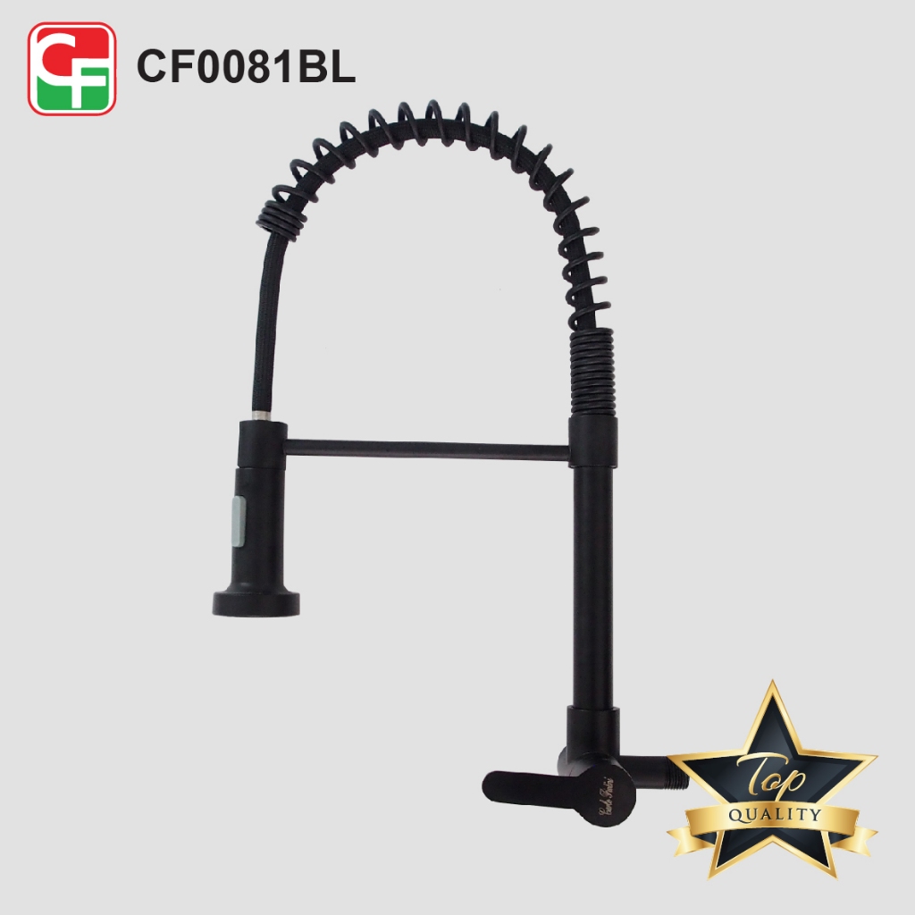 CF0081 (5)