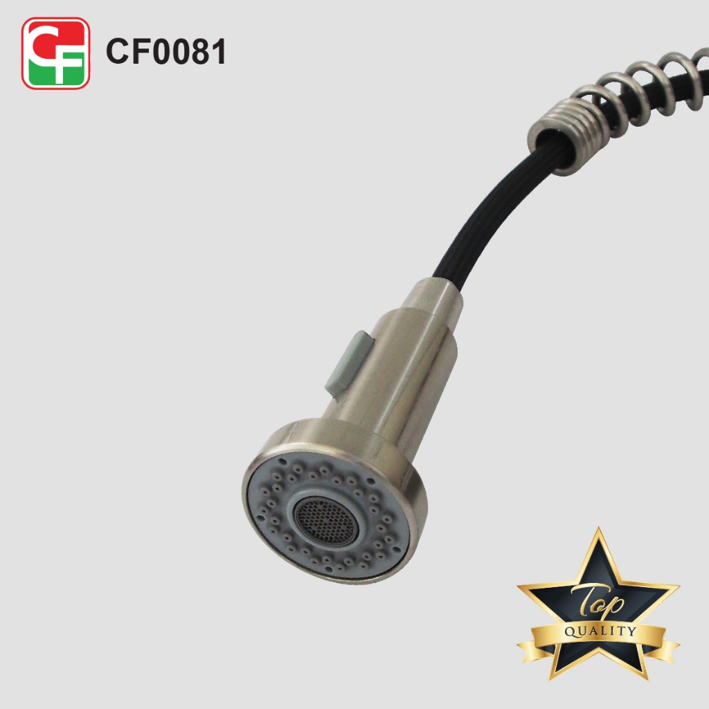 CF0081 (6)
