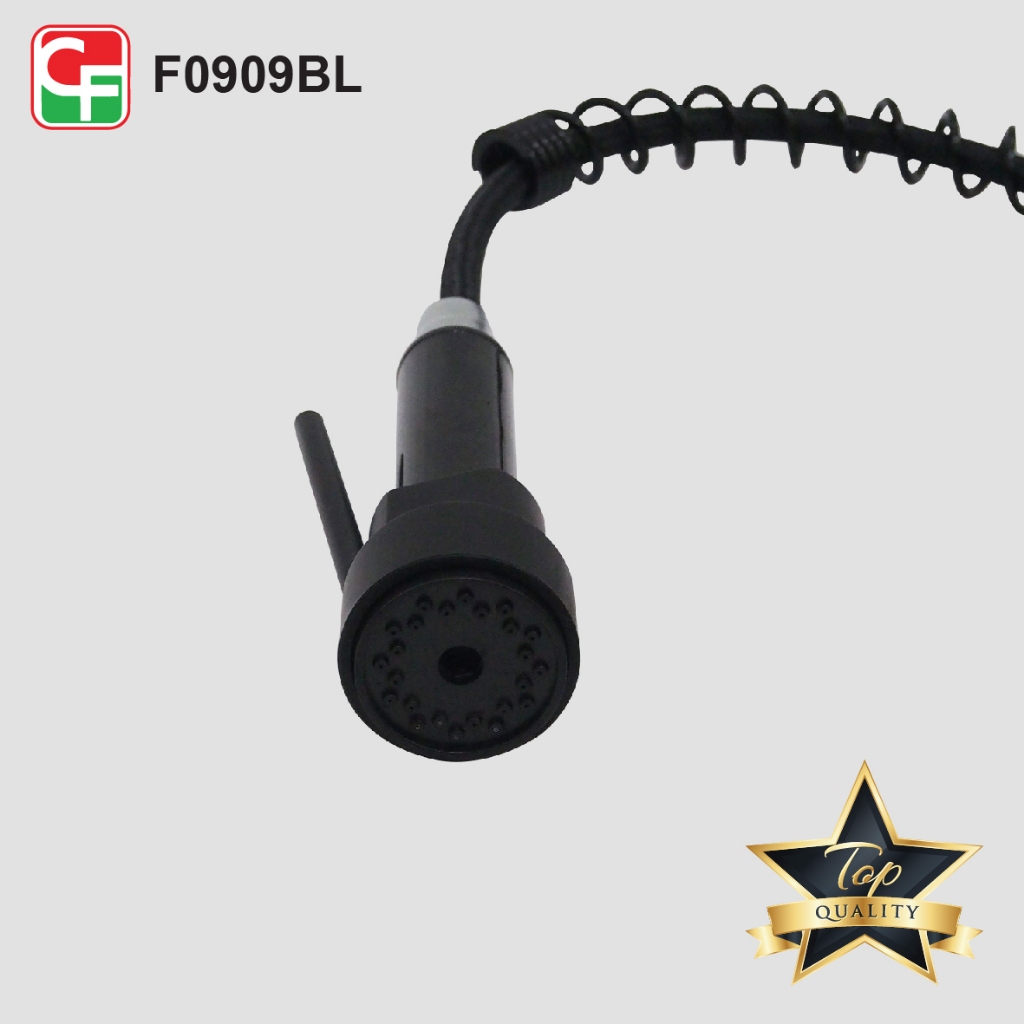 F0909 (9)