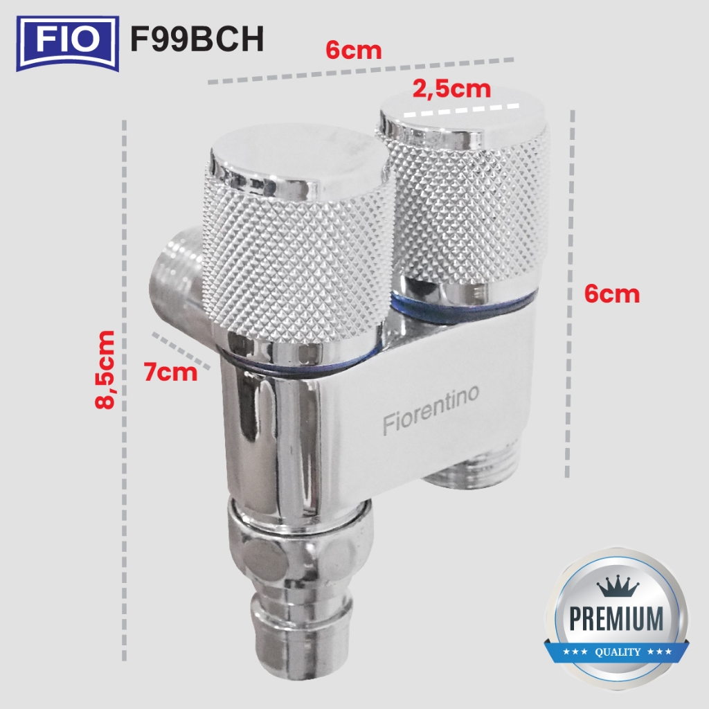 F99 (2)