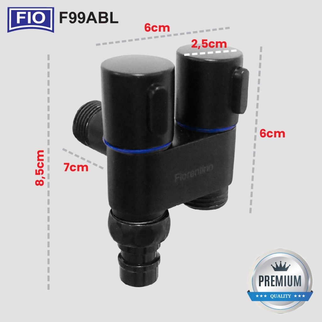 F99 (5)