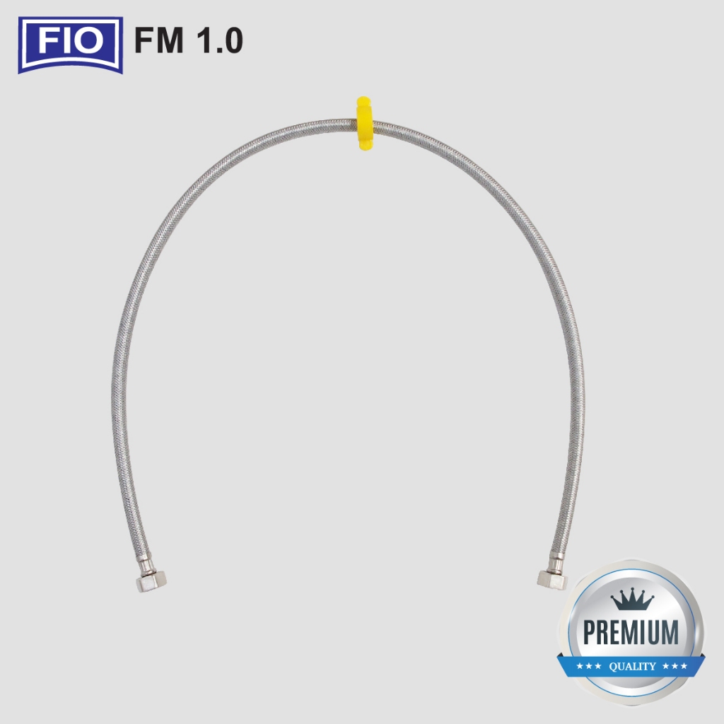 FM 1.0
